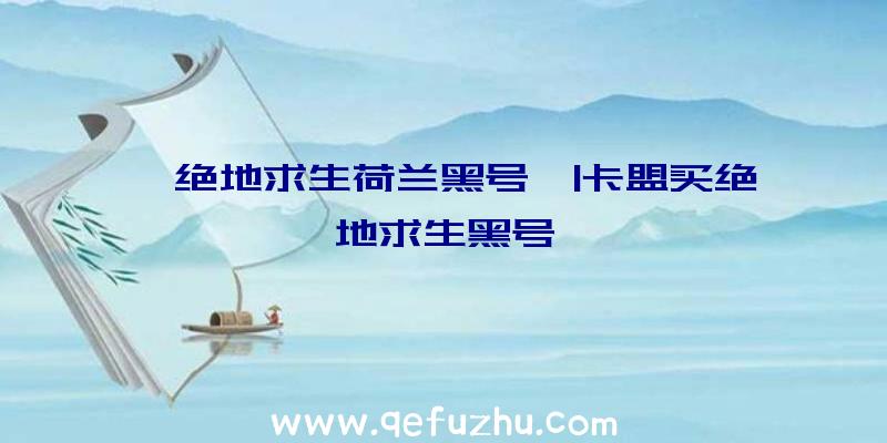 「绝地求生荷兰黑号」|卡盟买绝地求生黑号